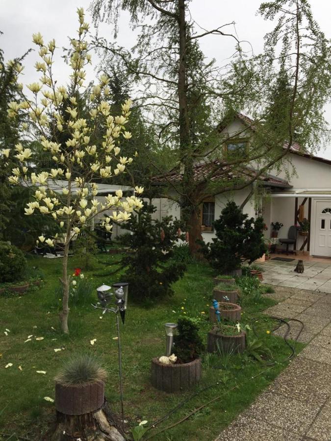 Kleines Haus Im Oderbruch Apartment Neutrebbin Exterior foto